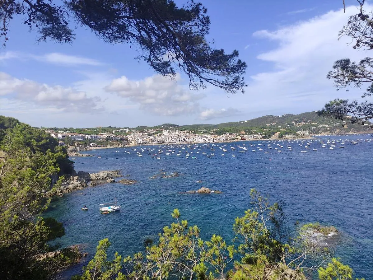 Mas Vermey Nº 7 Calella De Palafrugell 0*,  İspanya